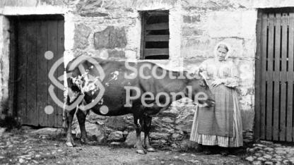 Farm servant with cow, Glen Creran, 1866