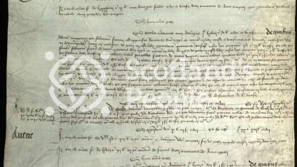 First reference to whisky, 1494