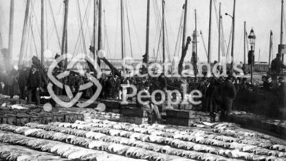 Newhaven fish market, late 19th century