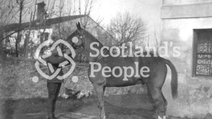 British soldier holding an officer's horse by the halter