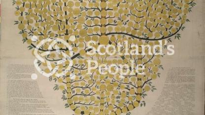 An Historical and Genealogical Tree of the Royal Family of Scotland