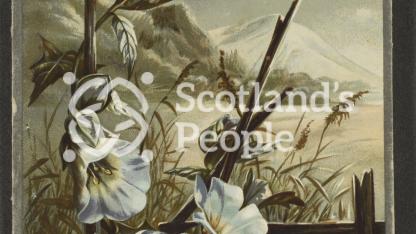 New Years greetings card depicting flowers in a winter scene