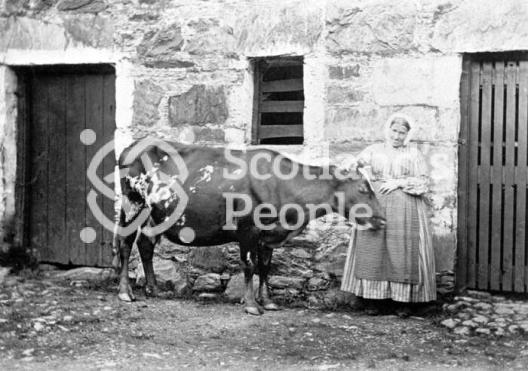 Farm servant with cow, Glen Creran, 1866