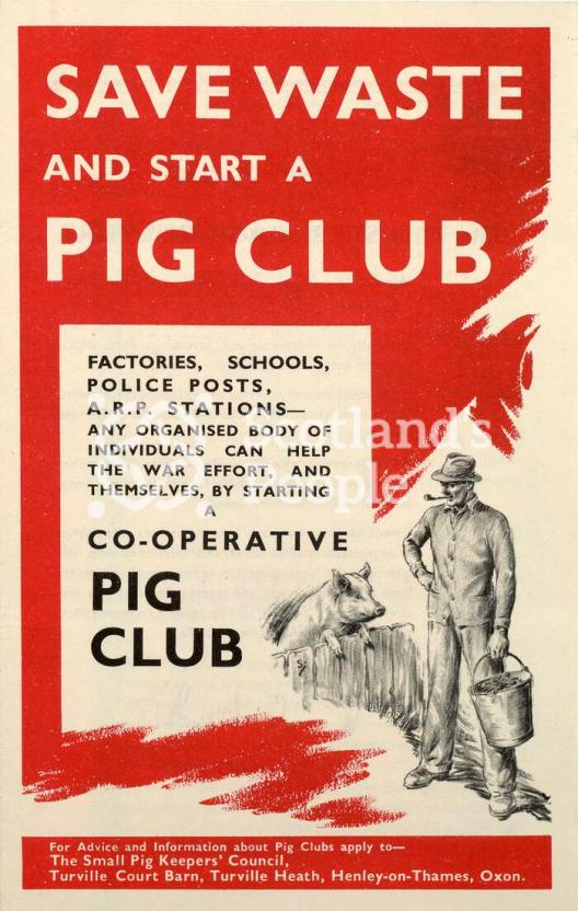 Pig club poster, c 1940