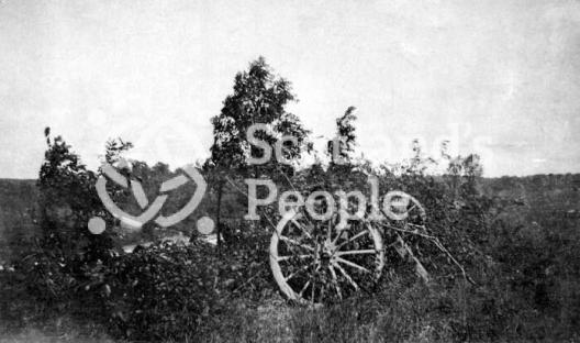 Artillery piece camouflaged with branches on the Western Front
