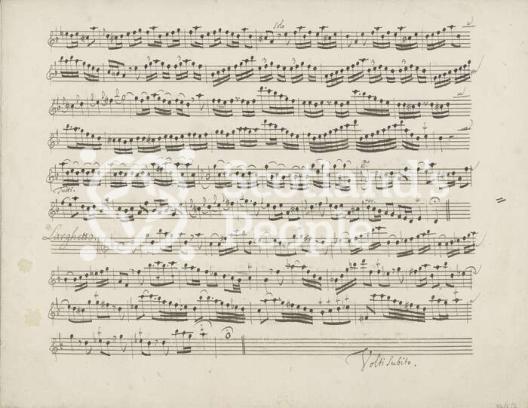 'll Gran Mogol' - Concerto for flute, strings and continuo in D minor by Antonio Vivaldi