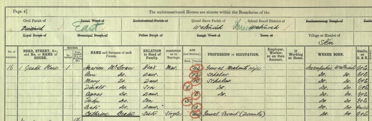 The MacSwan family in the 1901 census. NRS, Crown copyright, 1901 census, 110/2 3/4