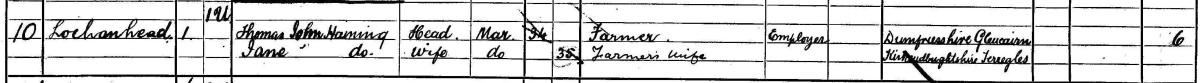 Detail of the census return for Jane Haining and her family at Lochenhead, Dunscore, Dumfriesshire, 1901. 